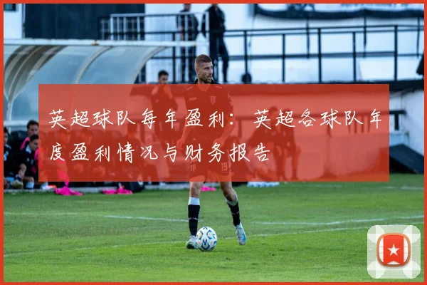 英超球队每年盈利：英超各球队年度盈利情况与财务报告