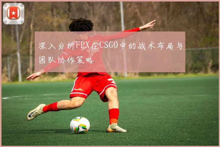深入分析FPX在CSGO中的战术布局与团队协作策略